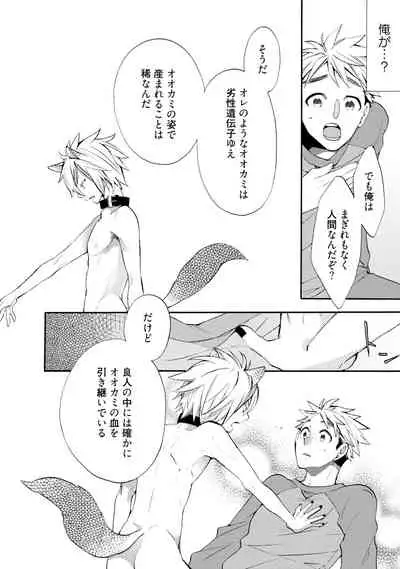 Wolves and Erotic Things