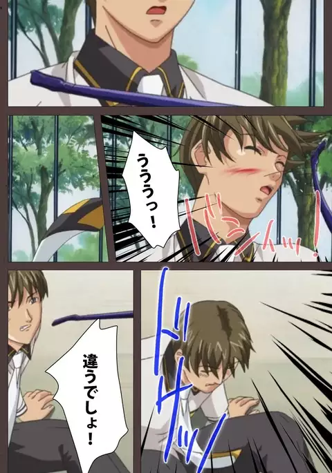 DISCIPLINE Daiichiwa Complete Ban