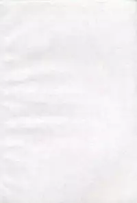 [Kazusa Shima] Ningyou-tachi no Hakuchuumu