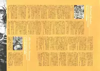 [Nishieda] Dendrobium