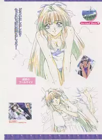 Virtuacall Series - Illustration & Datafile