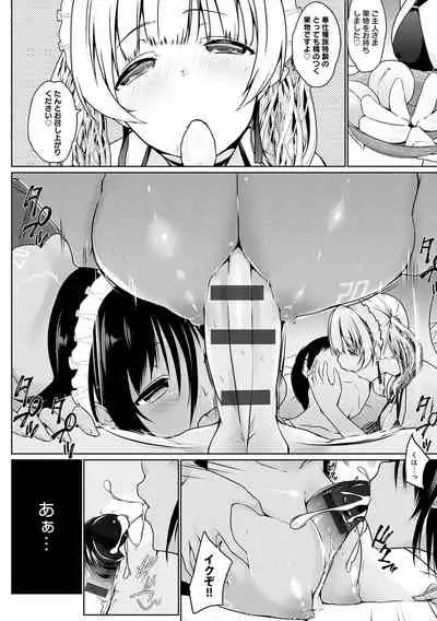 Houshi Shuzoku ga Yattekita!