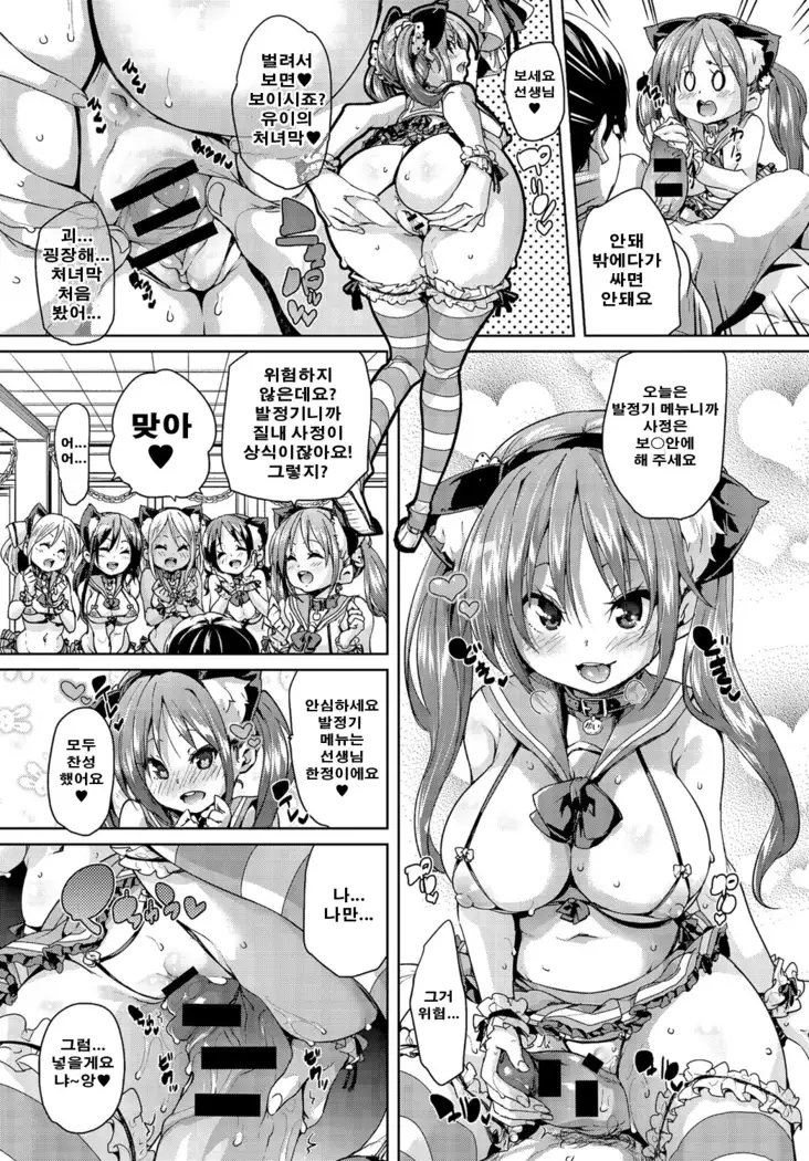 Nekocafe hatuzyuutyuu