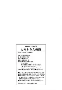 [Kotobuki Kazuki] Torawareta Chijyuku