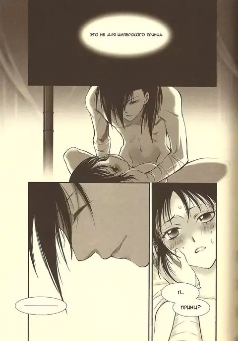 Rakujitsu | Setting Sun