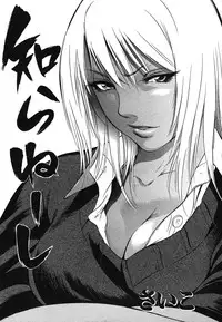 COMIC Mega GOLD 2007-07 Vol. 1