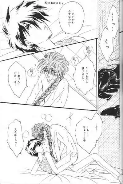 [Youkai Club (Hazuki Younosuke)] Amaryllis (Gundam Wing)