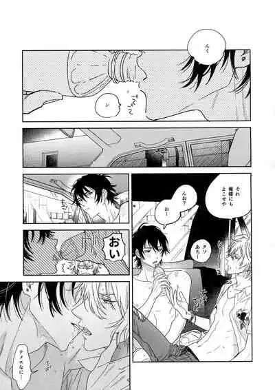 Ichalove Car Sex Book