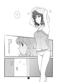 (C79) [Nekomikan Aruiwa Nekomikan (Nkedoshita)] Samplitude W800