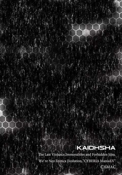 Cyberia ManiaEX Roshutsu Chuudoku Maniax Vol. 04