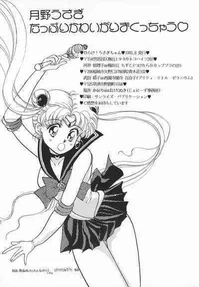 Hirake! Usagi-chan