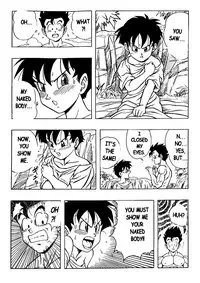 DOUJIN 2000 - Dragonball H [English]