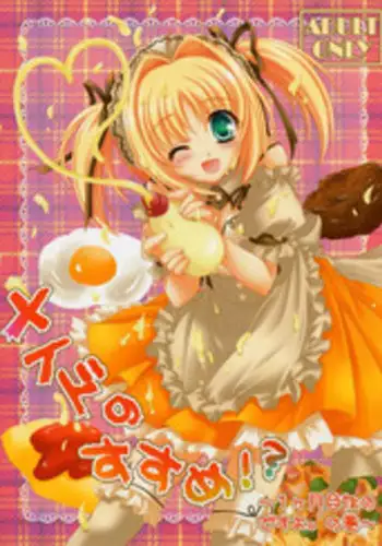 (C78) [Pyonpyororin (Akoko.)] Maid no Susume!? ～Ikkagetsume nano desu yo. no ken～