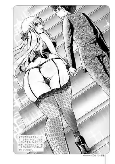 いますぐデキる 図説SMプレイマニュアル