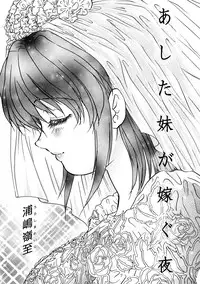 Comic Hime Dorobou 2008-05