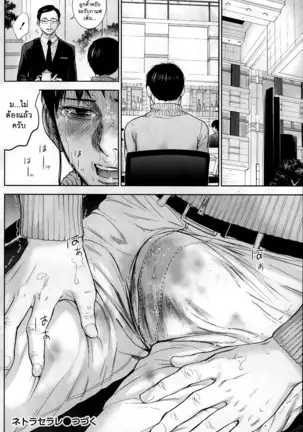 Netoraserare Vol.1-3