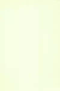 (C61) [Ashinoie (Taryl.)] Hinnyuu Musume 9 (Kasumin, Final Fantasy VIII)