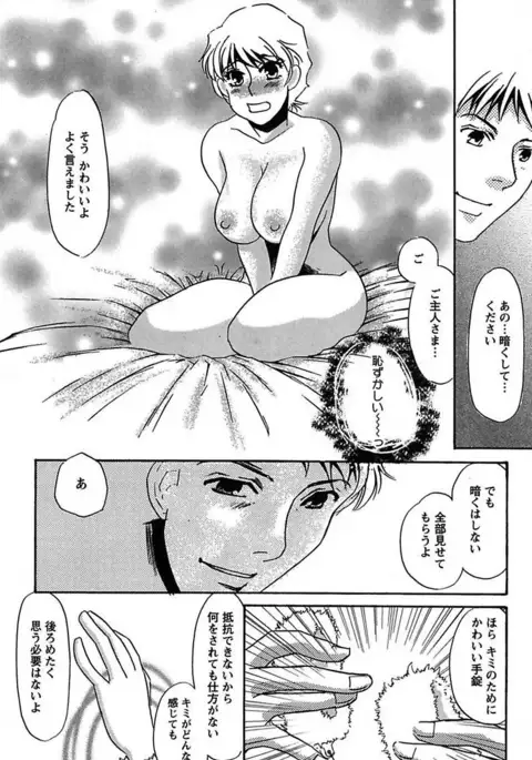 Ijou Seiyoku Mesuinu Toshite