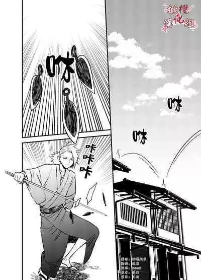 Ninja Tsurugi | 忍者鹤城