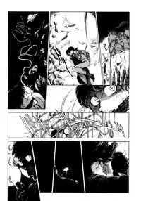 [Shibata Masahiro] Nano Sector