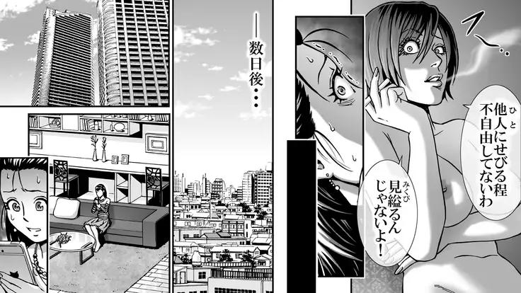 SNS no higeki furin no daishō