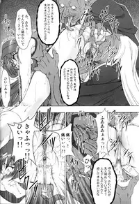 (C78) [Fakestar (Miharu)] FD (Various)