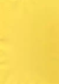 [CROCODILE-Ave. (Gangstar Yoshio)] MegaGra 2 Jakoru Ookami (Gravitation)