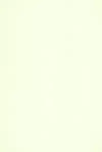 (C61) [Ashinoie (Taryl.)] Hinnyuu Musume 9 (Kasumin, Final Fantasy VIII)