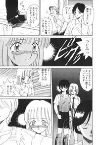 [Akifuji Satoshi] Four Seasons