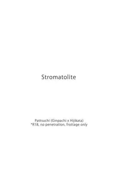 Stromatolite