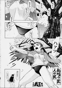 [Studio Wallaby] Vitamin-B9