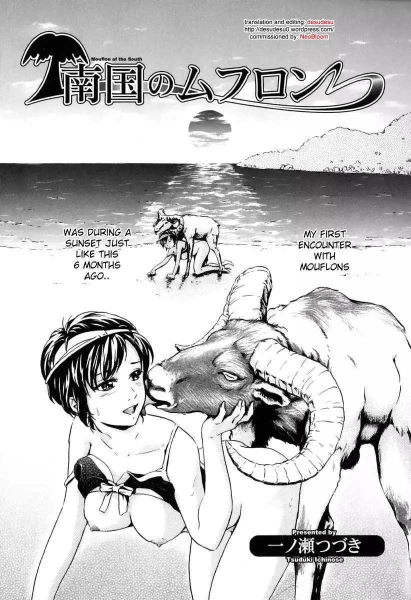 Mouflon of the South