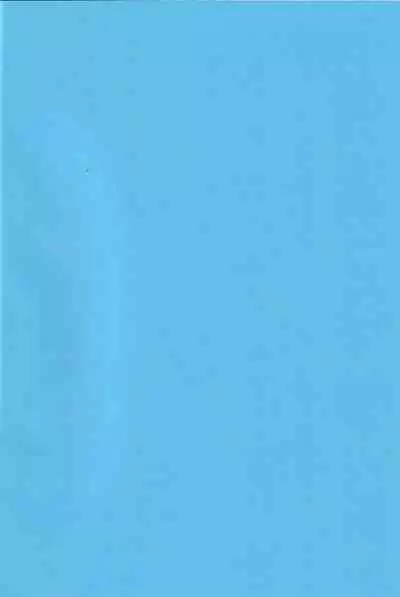 Mangetsu no Shimofuta, Ichigo yori Amai Yome no Ochinchin