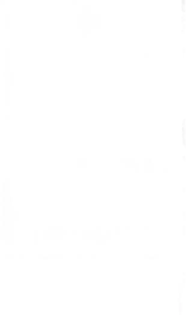 FORTUNE ARTERIAL 瑛里華編