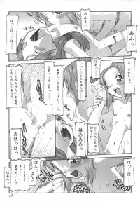 [SOFTCHARM] LIFE FORMS