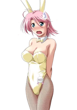 Do You Like Horny Bunnies? 2 (decensored)