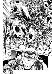 [Shibata Masahiro] Nano Sector