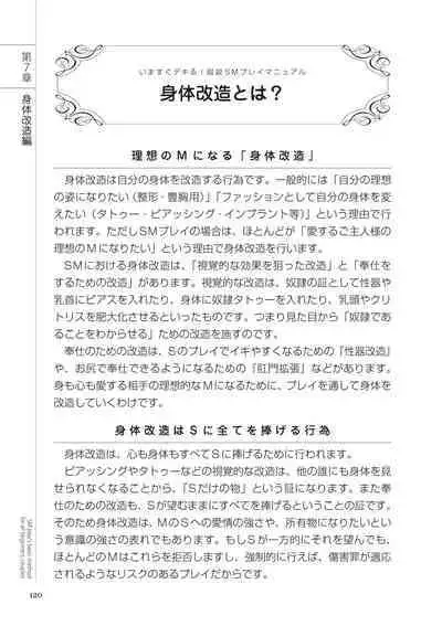 いますぐデキる 図説SMプレイマニュアル