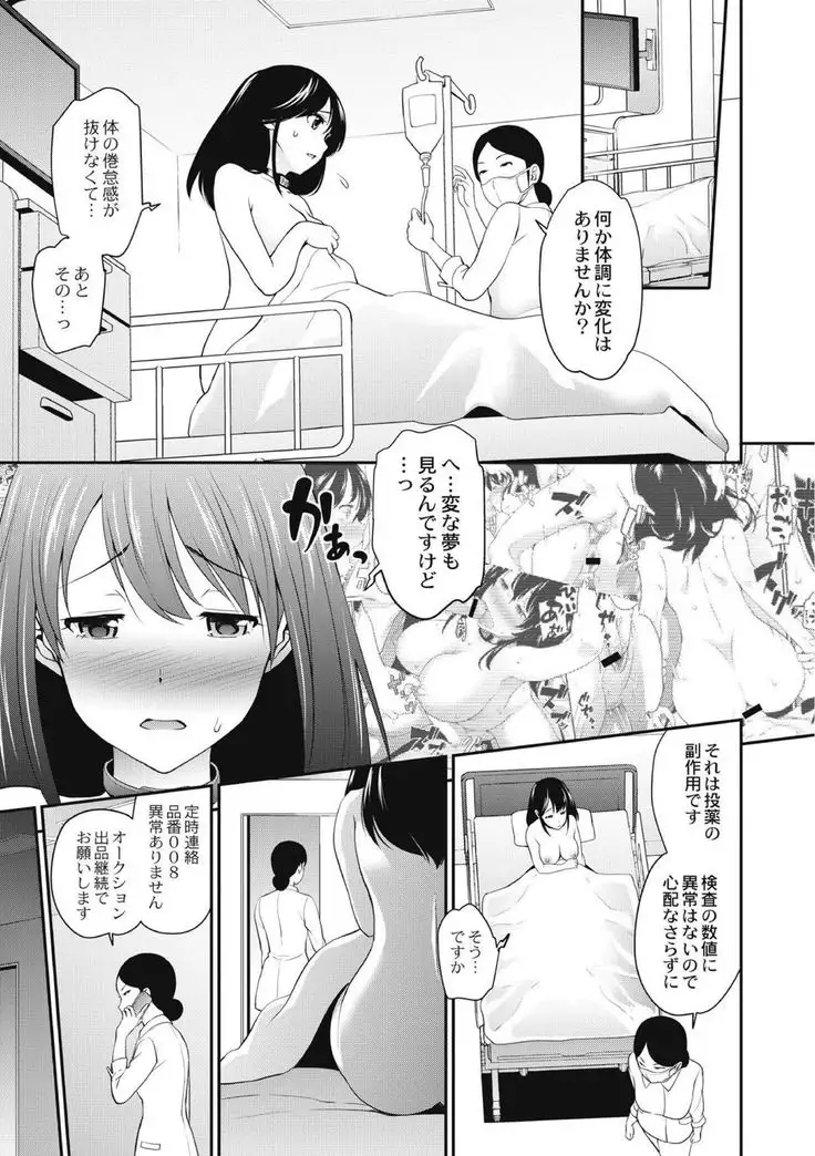 Chikenjo Inkan Auction!?