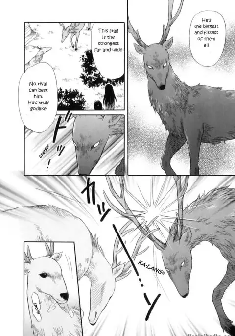 Divine Deer Forest ~Girls' Whereabouts~