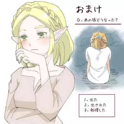 [Kodzuyu] Burewai rinzeru(The Legend of Zelda)