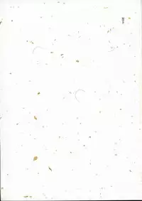 (C62) [Ocarina (Dyontairan)] Cowaremono