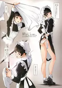 (C89) [Kuragamo (Tukinowagamo)] MAID IROIRO