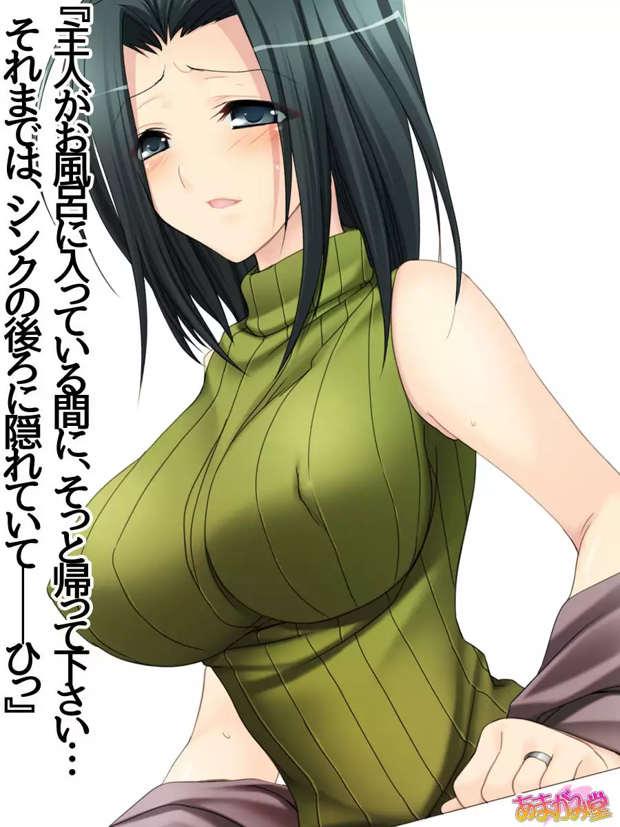 人妻の理沙子さん 第 1~4 話