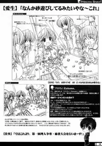(C68) [StrayMoon (Miyama Zero)] Princess Brave! Jantaku no Kishi - Settei Gengashuu