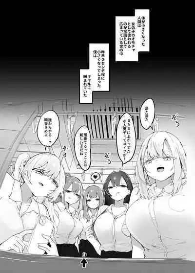 Surrounded By Girls On The Train