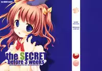 (C78) [MAPLER (Maple)] the SECRET -before 3 weeks- Copyshi
