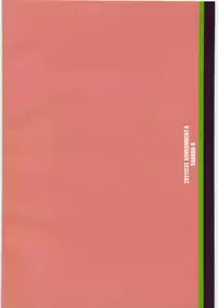 (C81) [GOVERNMENT-X (SANADA-X)] P2