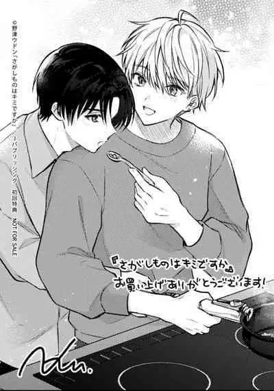 Sagashimonoha Kimidesuka｜你是我的所寻之物吗