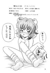 [Nakakawa Onsen (Nakakawa A)] Dennou Teikoku Akihabara (Akihabara Dennou Gumi)